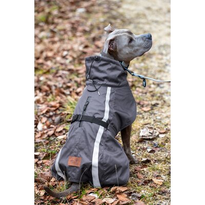 pawberry Softshell-Hundemantel Reus – Ansicht 1