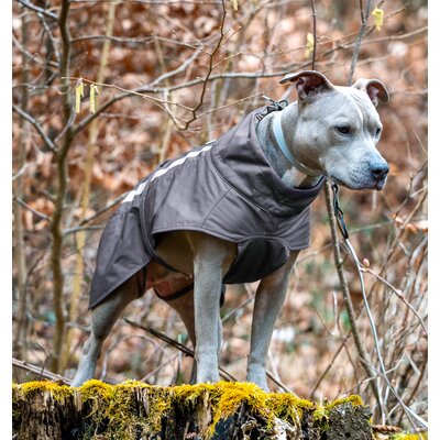pawberry Softshell-Hundemantel Reus – Ansicht 6