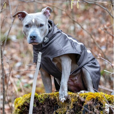 pawberry Softshell-Hundemantel Reus – Ansicht 7