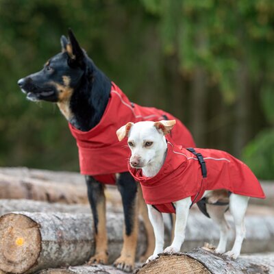 pawberry Hunde-Regenmantel Rainstormer – Ansicht 5