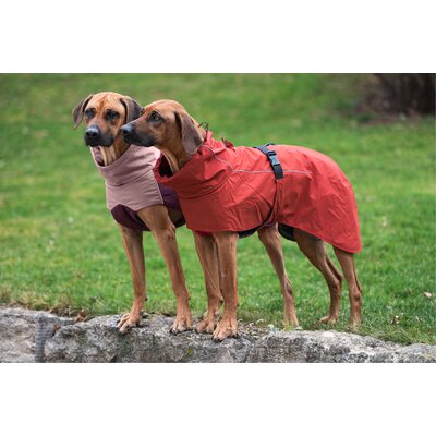 pawberry Hunde-Regenmantel Rainstormer – Ansicht 6