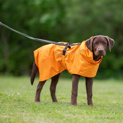 pawberry Hunde-Regenmantel Rainstormer – Ansicht 3