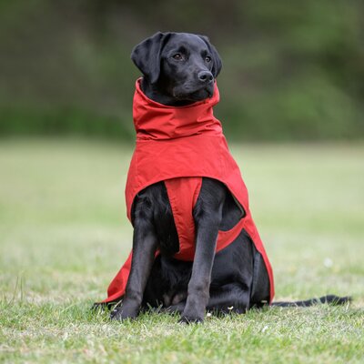pawberry Hunde-Regenmantel Rainstormer – Ansicht 4