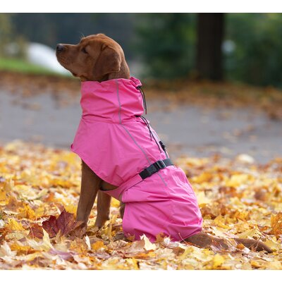 pawberry Hunde-Regenmantel Rainstormer – Ansicht 1