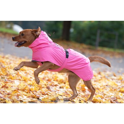 pawberry Hunde-Regenmantel Rainstormer – Ansicht 5