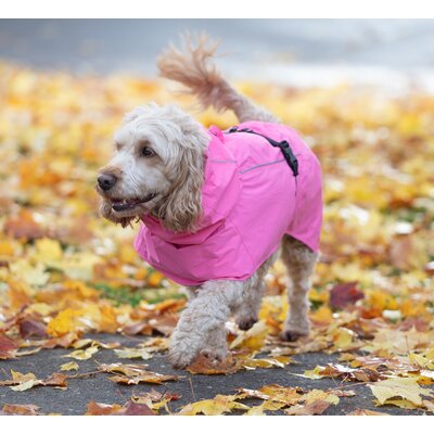 pawberry Hunde-Regenmantel Rainstormer – Ansicht 6