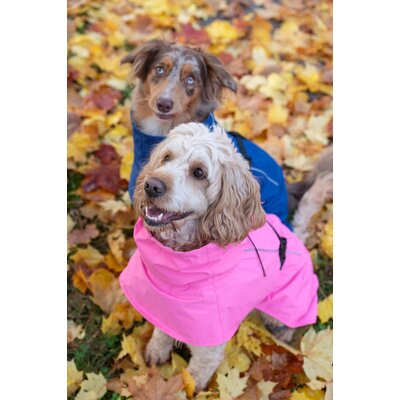 pawberry Hunde-Regenmantel Rainstormer – Ansicht 8