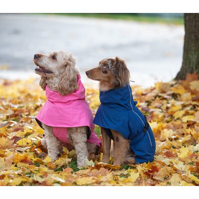 pawberry Hunde-Regenmantel Rainstormer – Ansicht 9