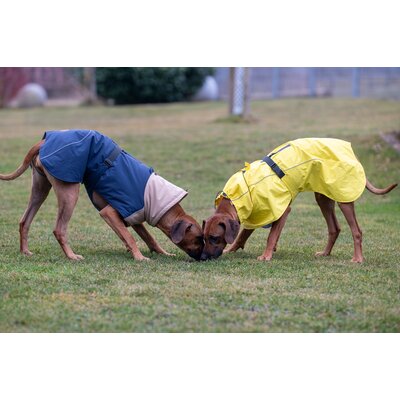 pawberry Hunde-Regenmantel Rainstormer – Ansicht 5