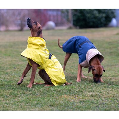 pawberry Hunde-Regenmantel Rainstormer – Ansicht 6