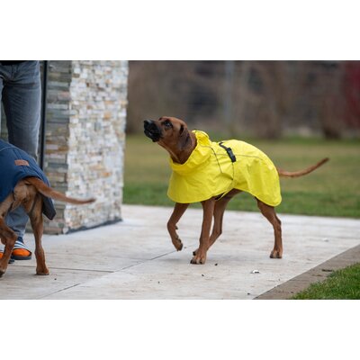 pawberry Hunde-Regenmantel Rainstormer – Ansicht 7