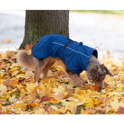 pawberry Hunde-Regenmantel Rainstormer – Ansicht 1