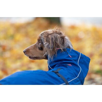 pawberry Hunde-Regenmantel Rainstormer – Ansicht 5