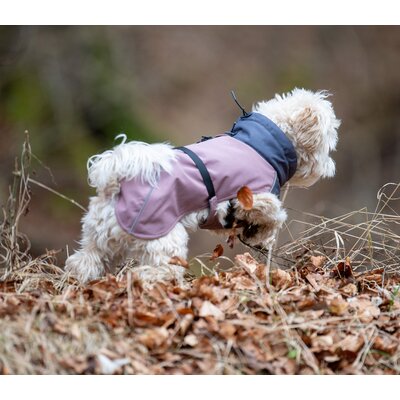 pawberry Hunde-Wintermantel Tallinn – Ansicht 4