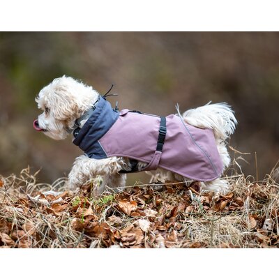 pawberry Hunde-Wintermantel Tallinn – Ansicht 1