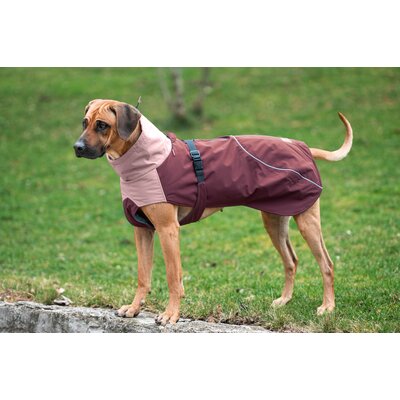 pawberry Hunde-Wintermantel Tallinn
