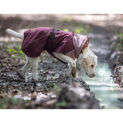 pawberry Hunde-Wintermantel Tallinn – Ansicht 1