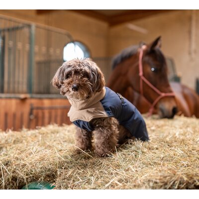 pawberry Hunde-Wintermantel Random – Ansicht 7