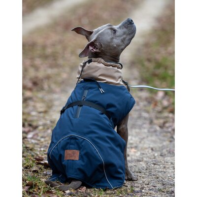 pawberry Hunde-Wintermantel Random – Ansicht 1