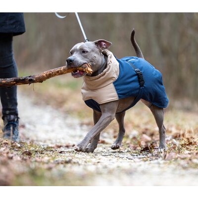 pawberry Hunde-Wintermantel Random – Ansicht 9