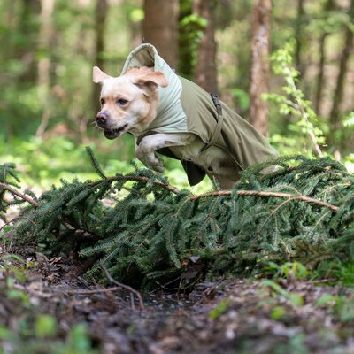 pawberry Hunde-Wintermantel Random – Ansicht 6