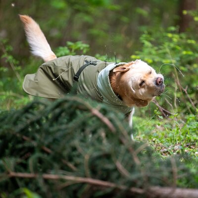 pawberry Hunde-Wintermantel Random – Ansicht 7