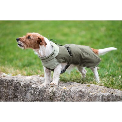pawberry Hunde-Wintermantel Random – Ansicht 3