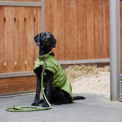 ESKADRON Platinum Hundeset Faux Leather – Ansicht 3