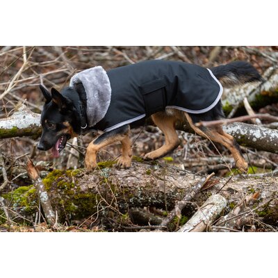 pawberry Hunde-Wintermantel Stockholm – Ansicht 1