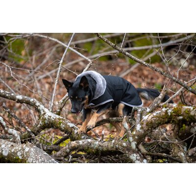 pawberry Hunde-Wintermantel Stockholm – Ansicht 7