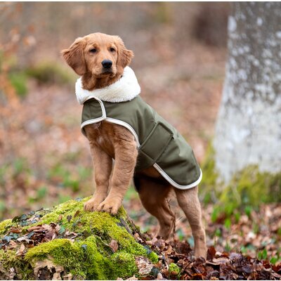 pawberry Hunde-Wintermantel Stockholm – Ansicht 1