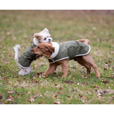 pawberry Hunde-Wintermantel Stockholm – Ansicht 8