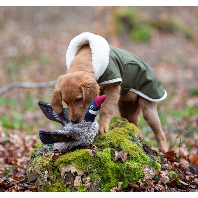 pawberry Hunde-Wintermantel Stockholm – Ansicht 9