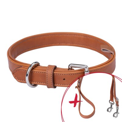 pawberry Set Gassi L-XL Hundehalsband + Hundeleine Melun – Ansicht 3