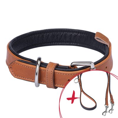 pawberry Set Gassi L-XL Hundehalsband + Hundeleine Melun – Ansicht 1