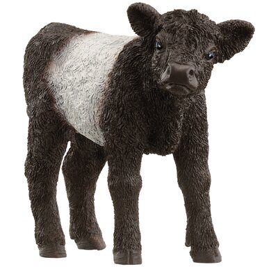 Schleich Farm World Galloway Kalb 