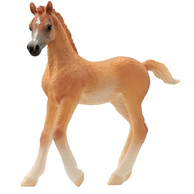 Schleich HORSE CLUB Araber Fohlen 