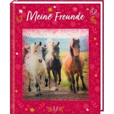 DIE SPIEGELBURG Freundebuch Pferdefreunde 