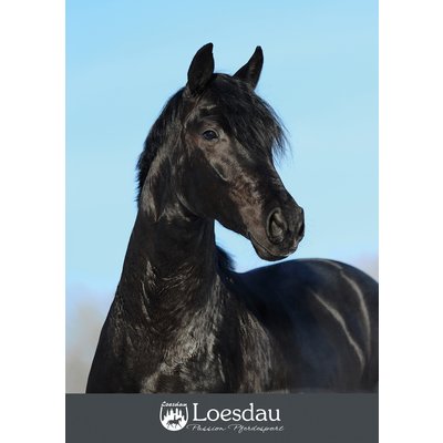 Loesdau Gutschein zum Drucken Black Beauty