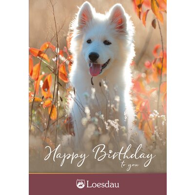 Loesdau Gutschein zum Drucken Happy Birthday Dog