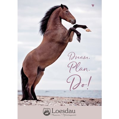 Loesdau Gutschein zum Drucken Dream. Plan. Do!