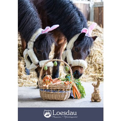 Loesdau Gutschein zum Drucken Pferdige Ostern
