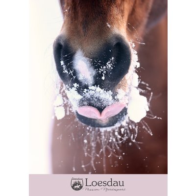 Loesdau Gutschein zum Drucken Winterkiss