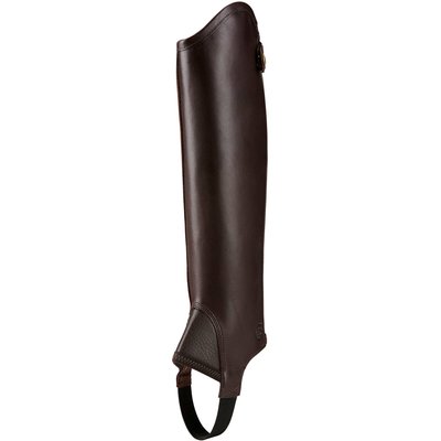 ARIAT Half-Chaps Concord lightbrown | XS