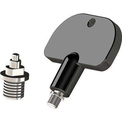 SPRENGER Spikes mit Schlüssel silber