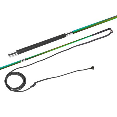 FLECK Longierpeitsche Superleicht rainbow | 2 m