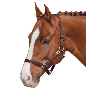 Loesdau Webhalfter schoko | Pony
