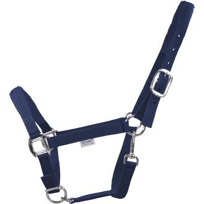 EQUEST Halfter Dual Plus navy | Vollblut