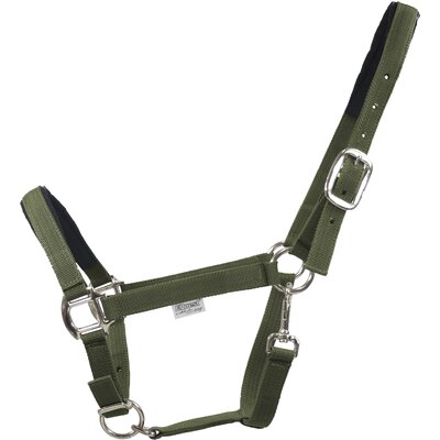 EQUEST Halfter Dual Plus olive | Vollblut