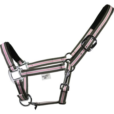 EQUEST Halfter Dual Plus 